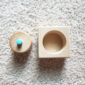 Lovevery Montessori Pincher Puzzle